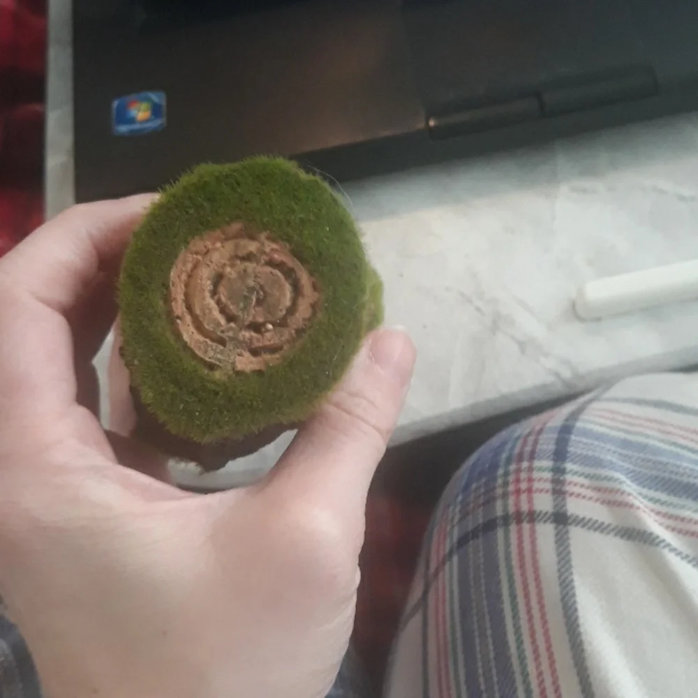 Hollow Stump Aquarium Ornament
